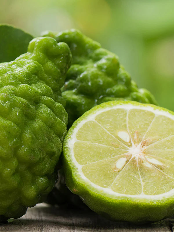 Bergamot 佛手柑
