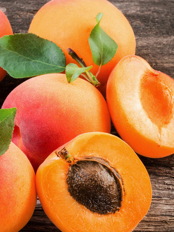 Apricot 杏子